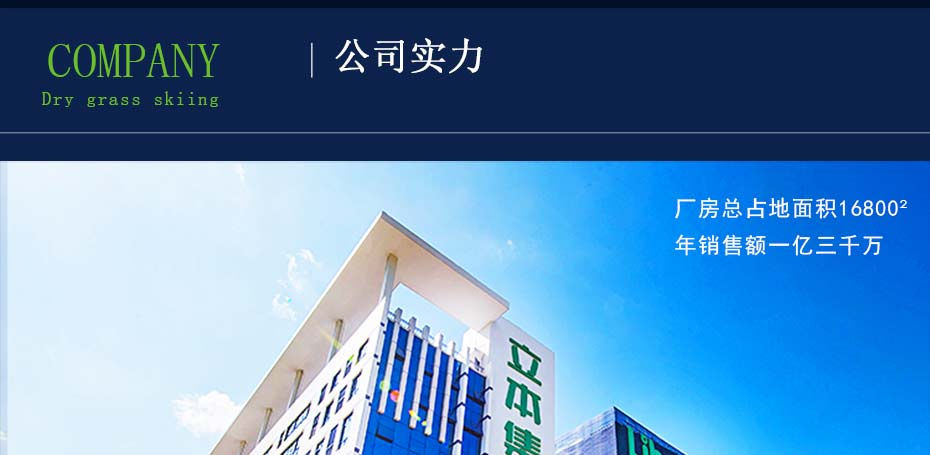 立本集团公司实力